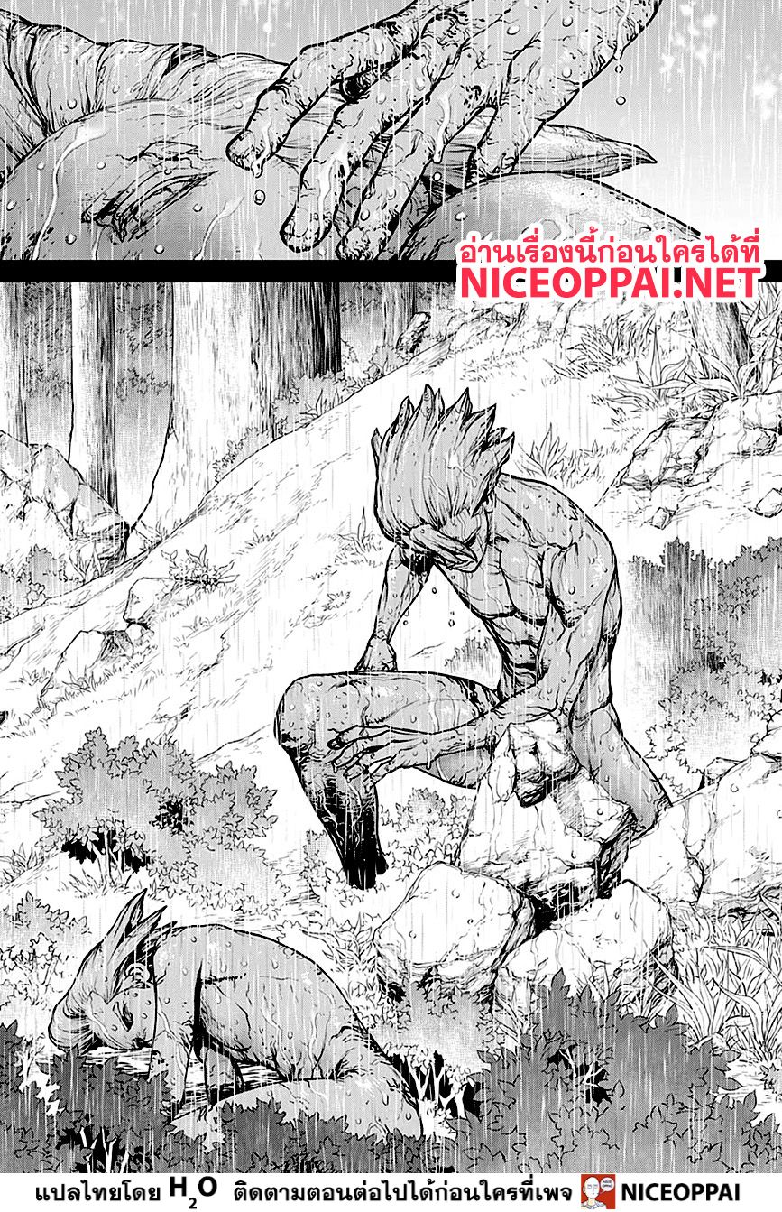 Dr.Stone 157-เวลาเดียวกัน สถานที่เดียวกัน