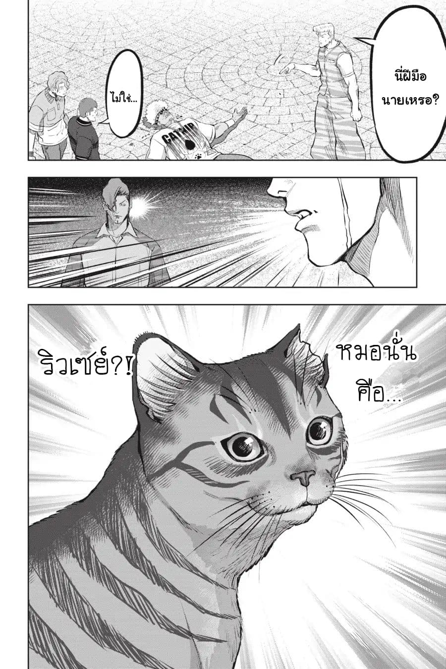 Nyankees 16-แมวผู้บุกรุก