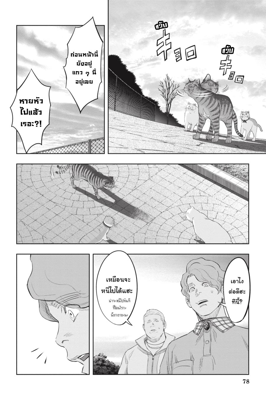 Nyankees 19-โกดังเนซึมิกุระ
