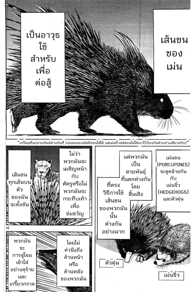 Killing Bites เขี้ยวพิฆาตพันธุ์ผสม 3-ฉันสงสัยจังว่าแกจะรับมันไหวมั้ย?