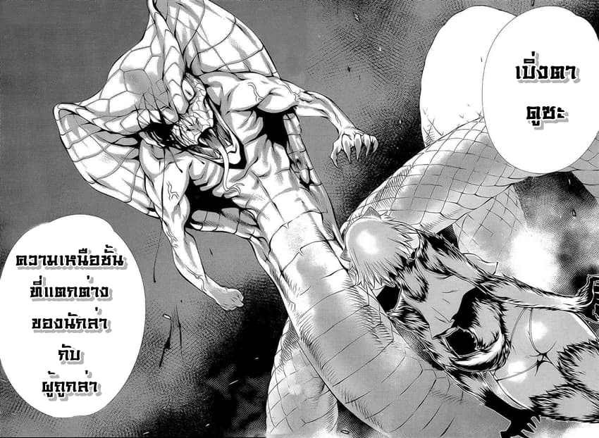 Killing Bites เขี้ยวพิฆาตพันธุ์ผสม 13-สัตว์ป่าที่คุ้นเคย