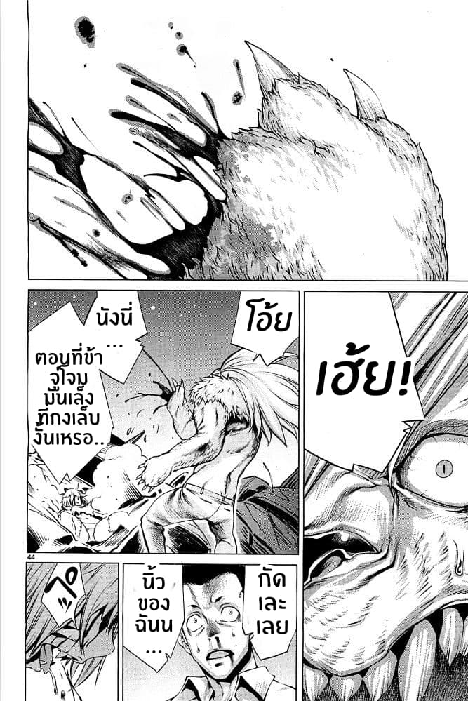Killing Bites เขี้ยวพิฆาตพันธุ์ผสม 1-1