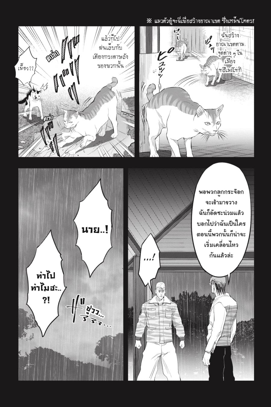 Nyankees 18-ในสายตาของบอส