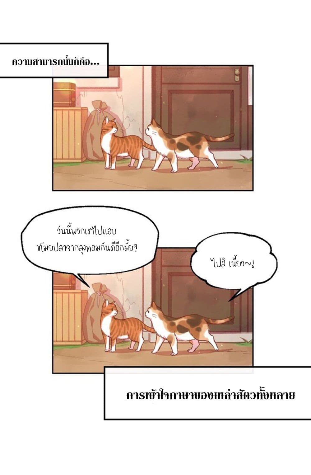 The Life of Maria Lewellin 1-One Shot