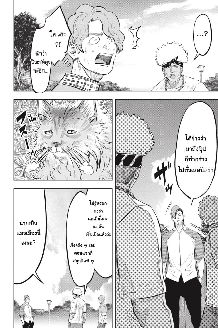 Nyankees 16-แมวผู้บุกรุก