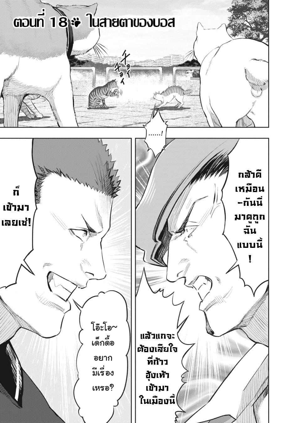 Nyankees 18-ในสายตาของบอส
