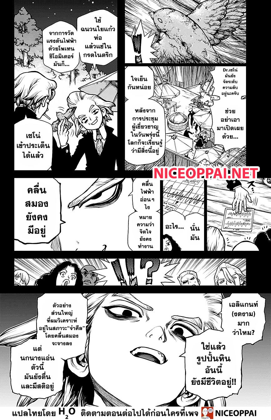 Dr.Stone 157-เวลาเดียวกัน สถานที่เดียวกัน