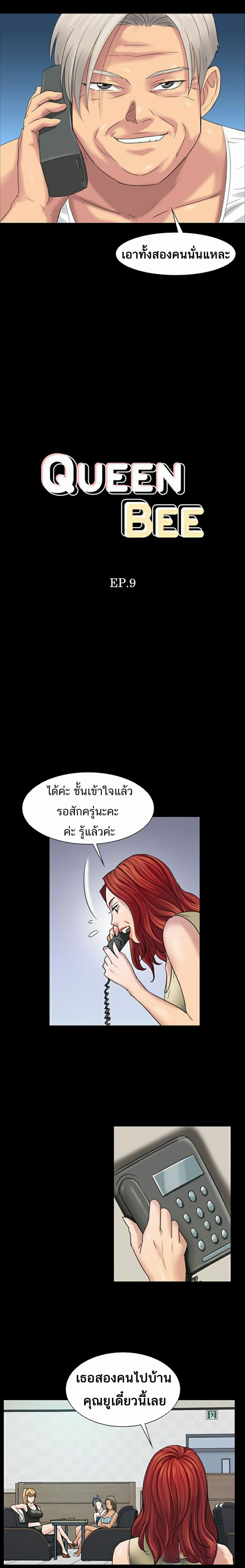 Queen Bee 9-9