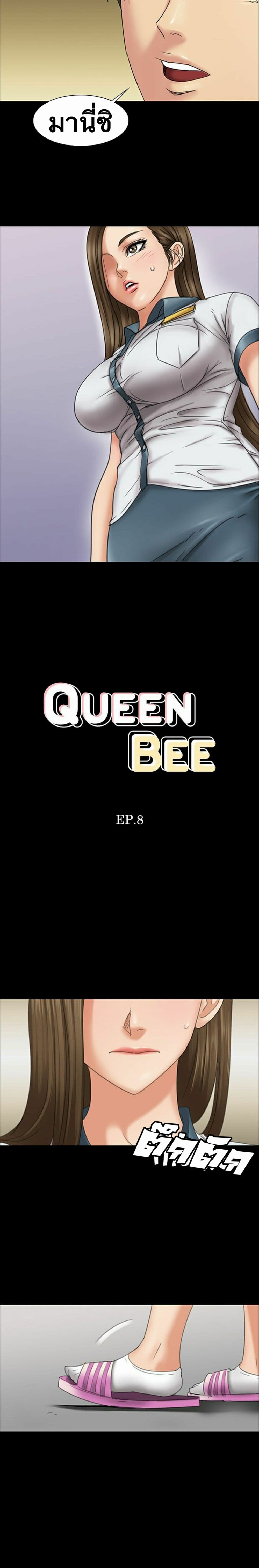 Queen Bee 8-8
