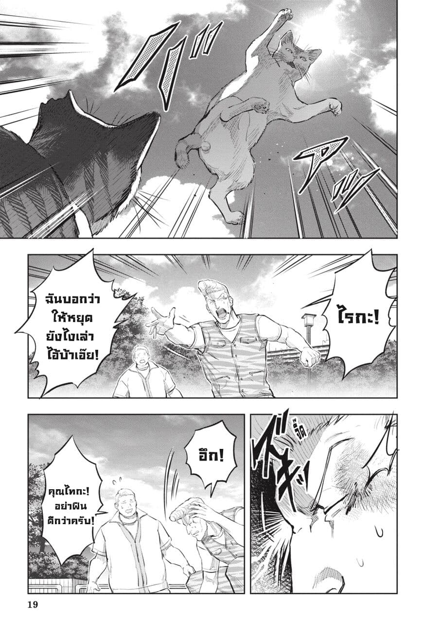 Nyankees 17-อิจฉาแบบแมวๆ