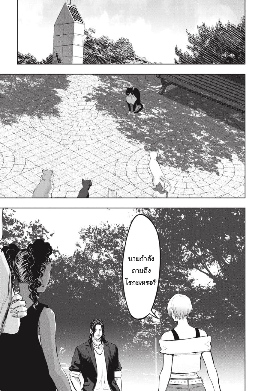 Nyankees 17-อิจฉาแบบแมวๆ