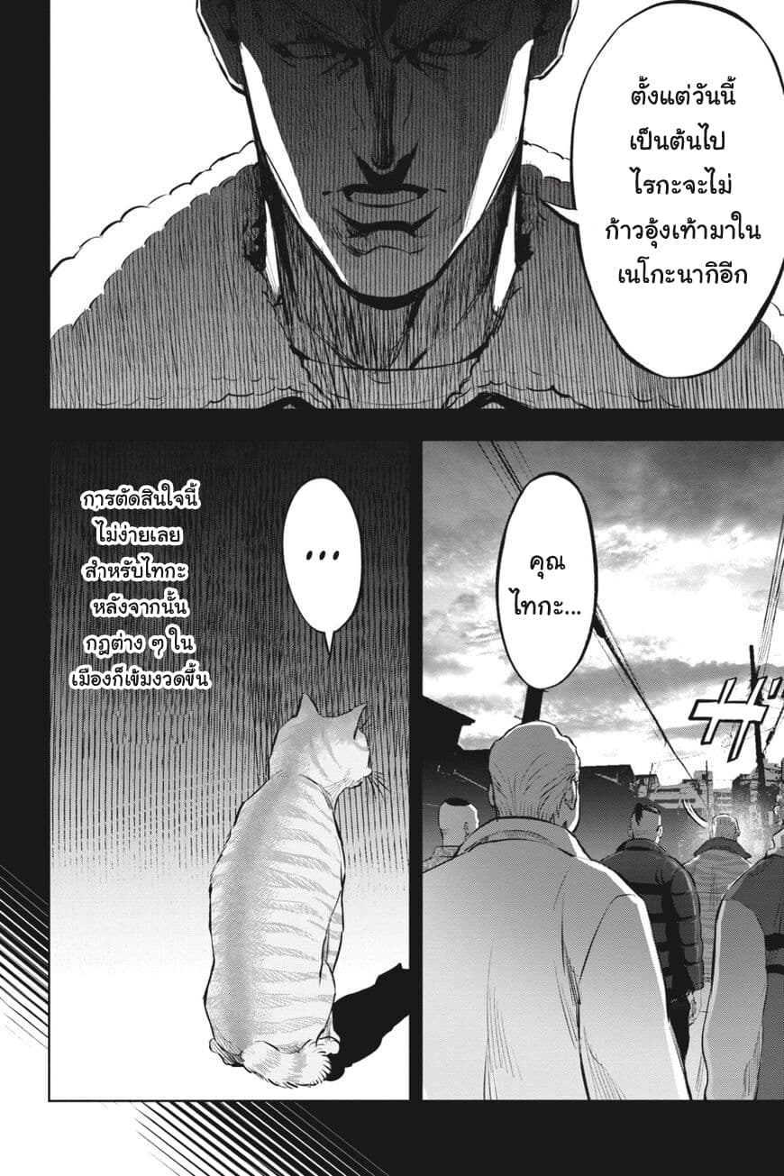 Nyankees 17-อิจฉาแบบแมวๆ
