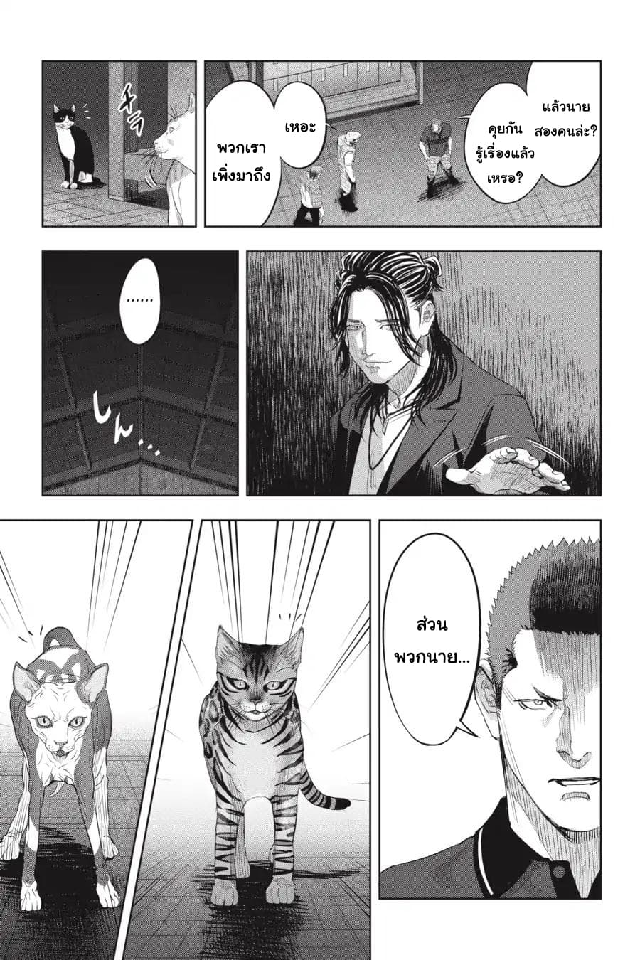 Nyankees 20-รวมพล