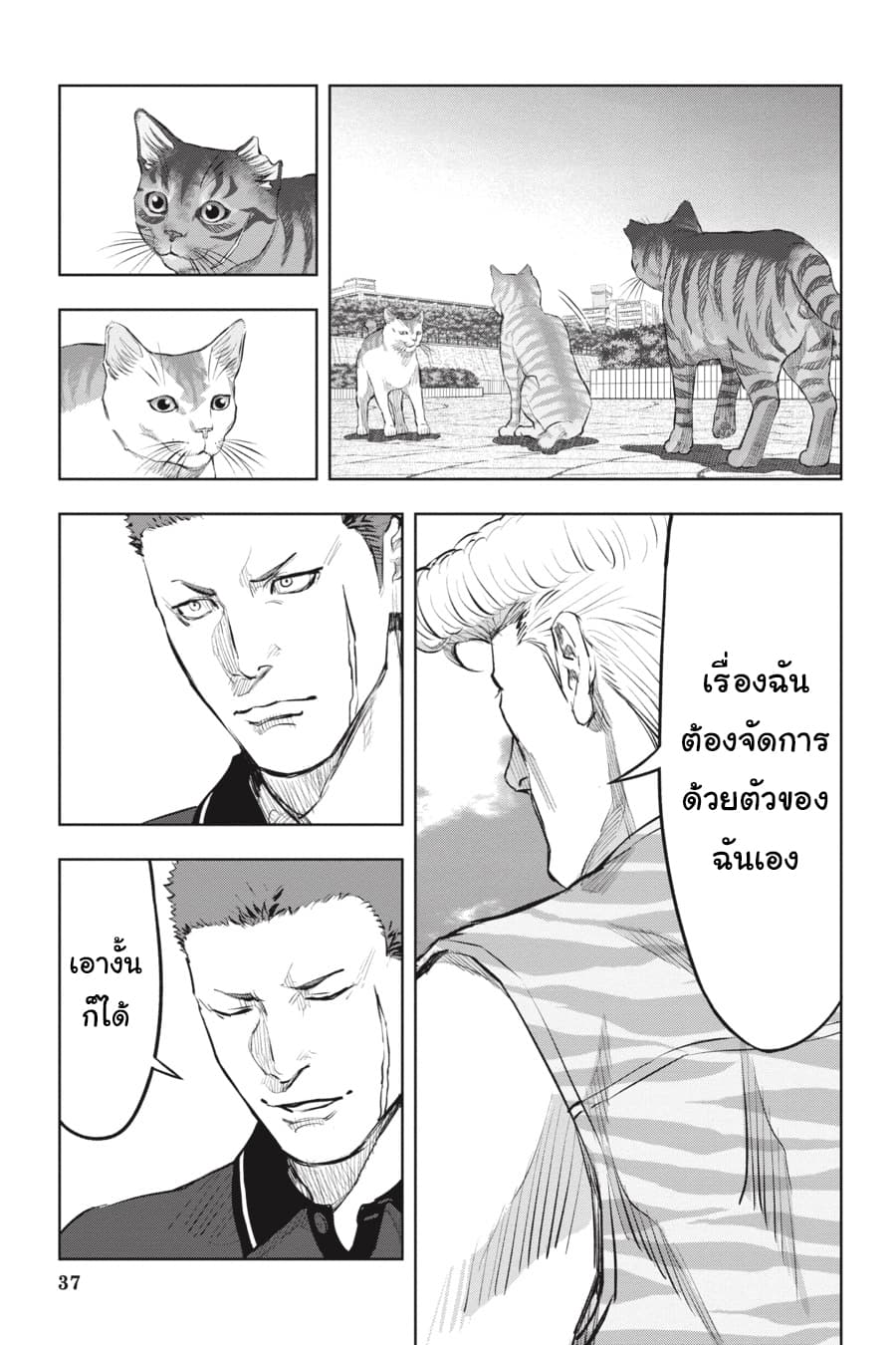 Nyankees 18-ในสายตาของบอส