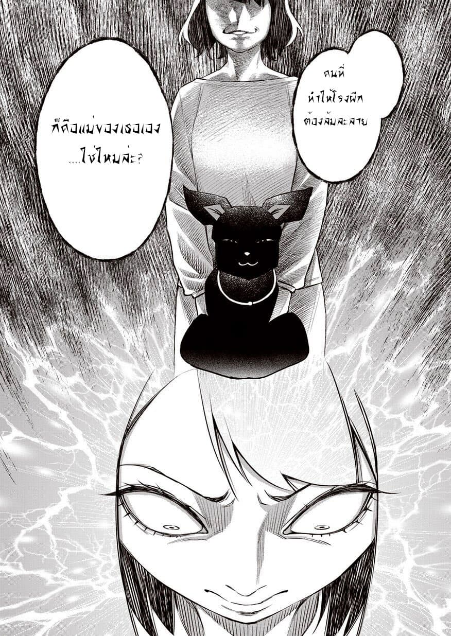 Dolkara 12-สาเหตุที่แท้จริง