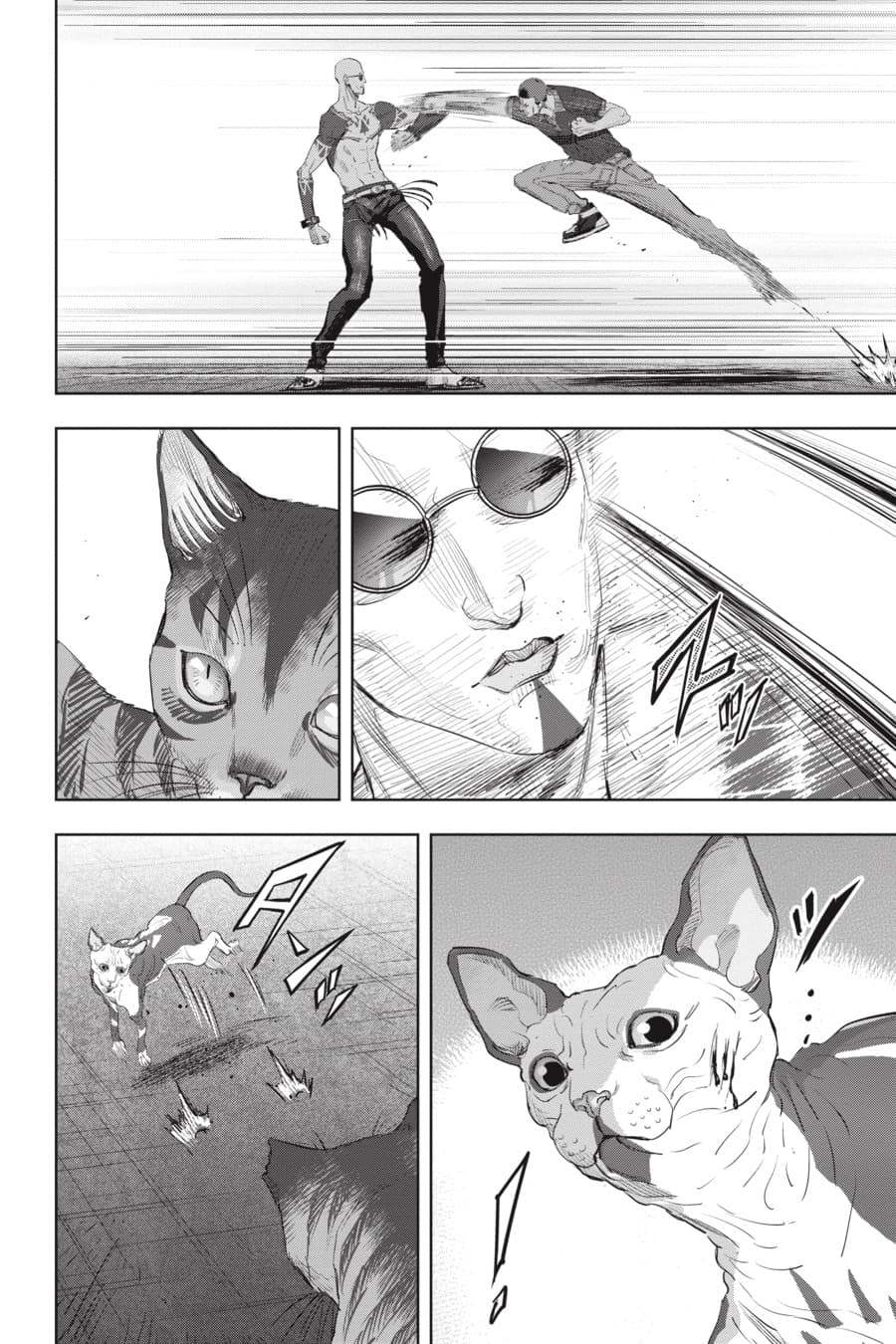 Nyankees 20-รวมพล