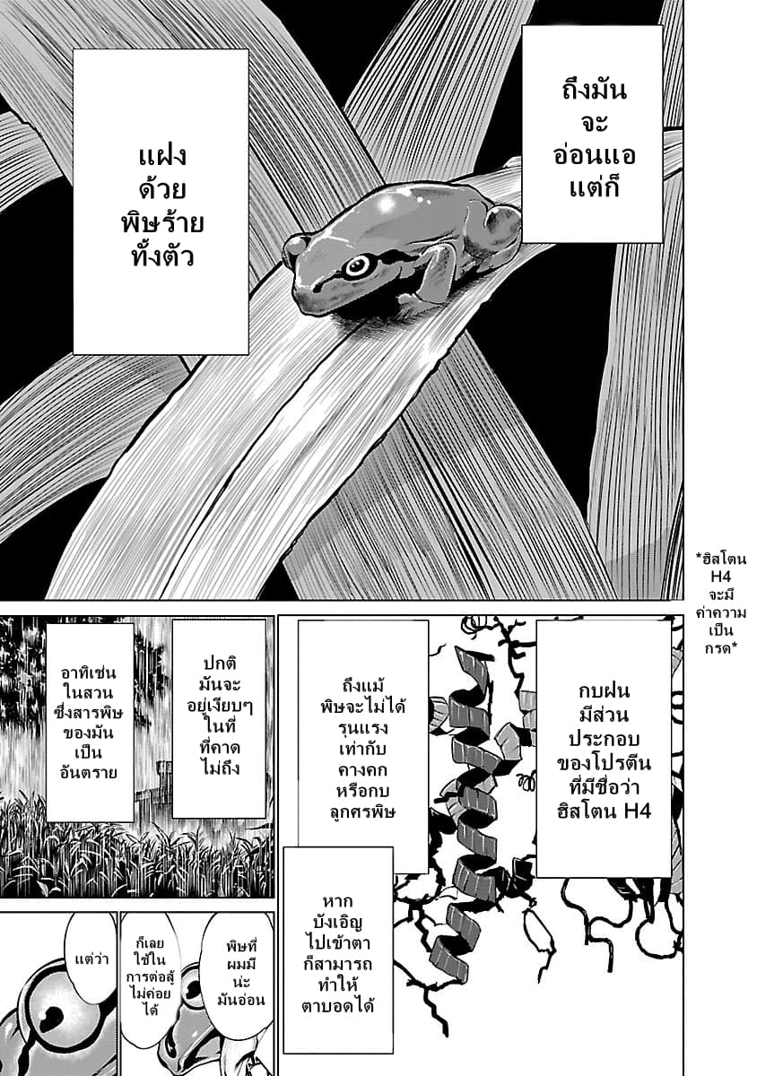 Killing Bites เขี้ยวพิฆาตพันธุ์ผสม 33-ชั้นจะทำให้เธอกลายเป็นไฮบริดที่แท้จริง