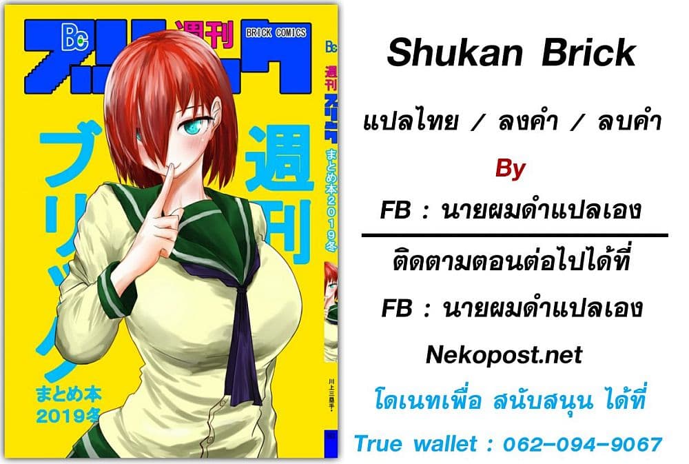 Shukan Brick 20-20
