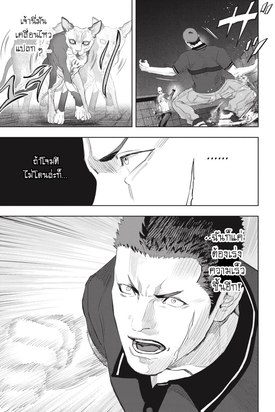 Nyankees 20-รวมพล