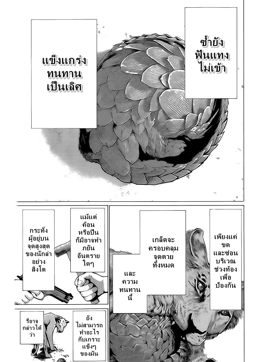 Killing Bites เขี้ยวพิฆาตพันธุ์ผสม 24-โชว์ที่ดีต้องมีความแตกต่างของตัวละคร