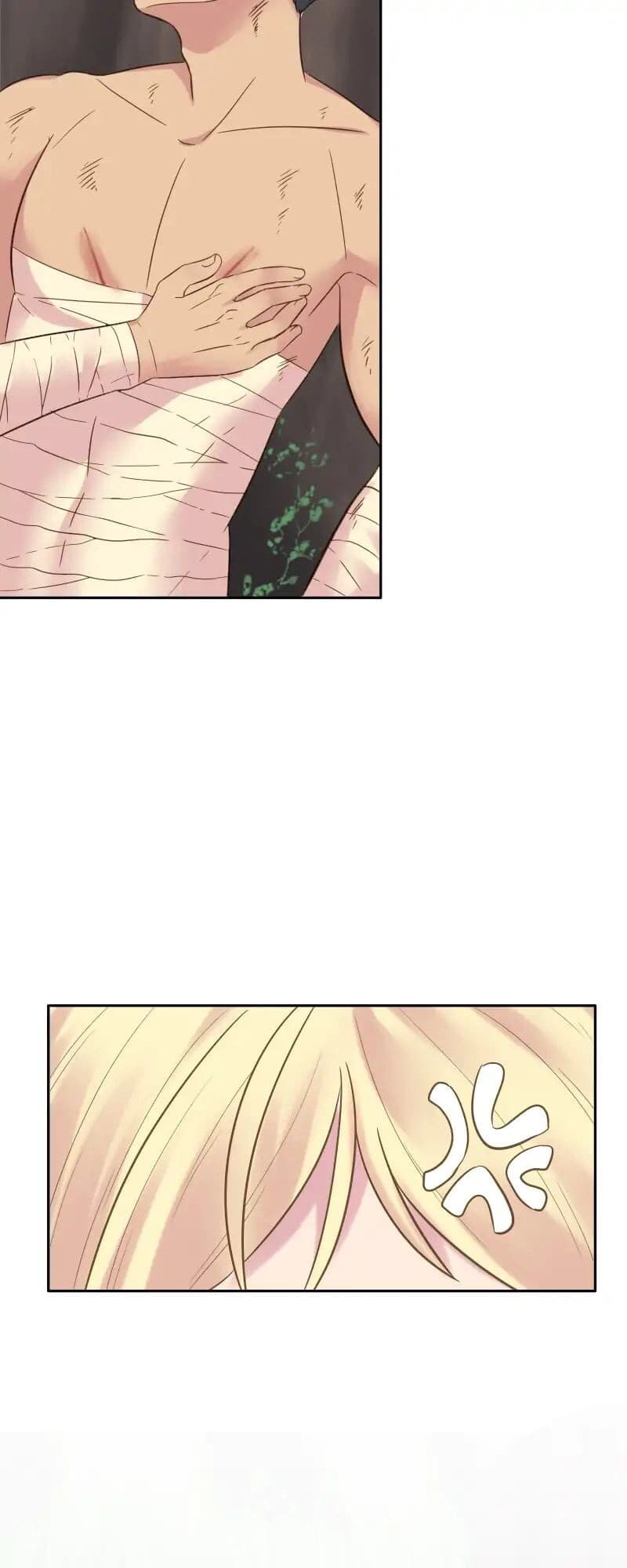 The Dragon Prince's Bride 3-3