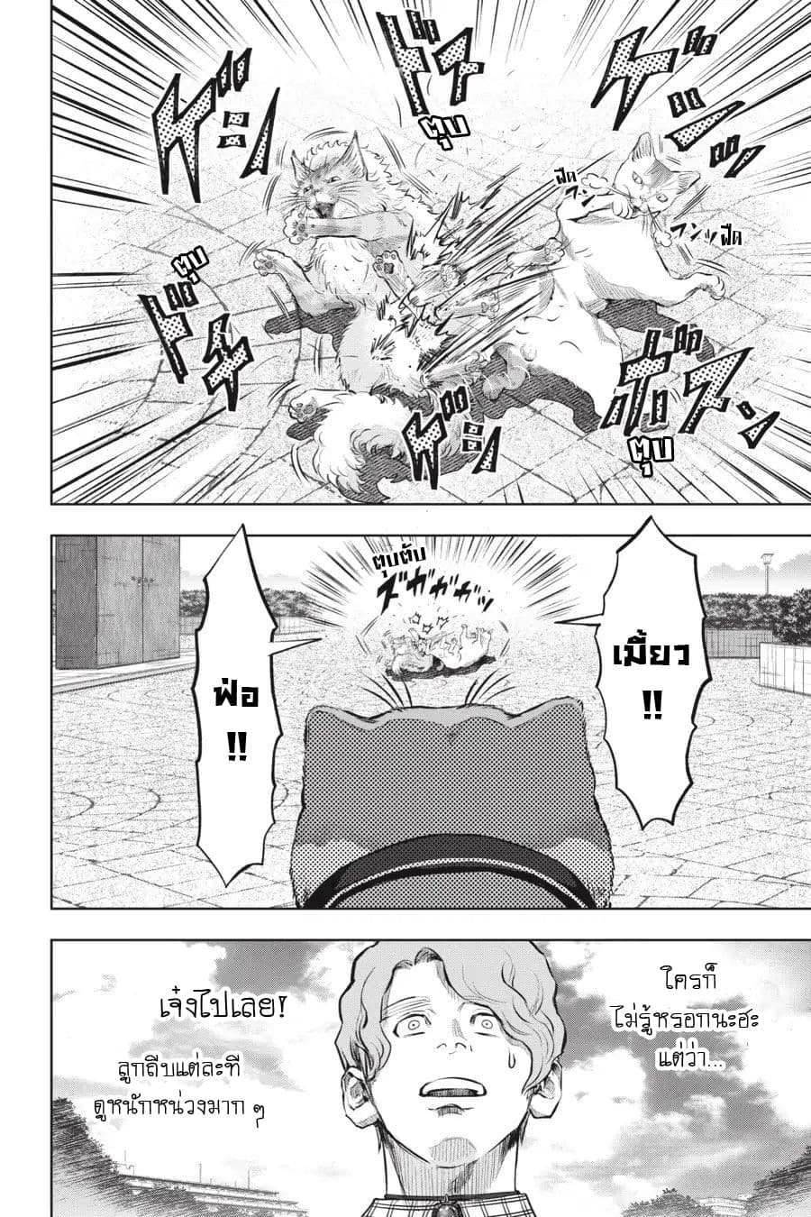 Nyankees 16-แมวผู้บุกรุก