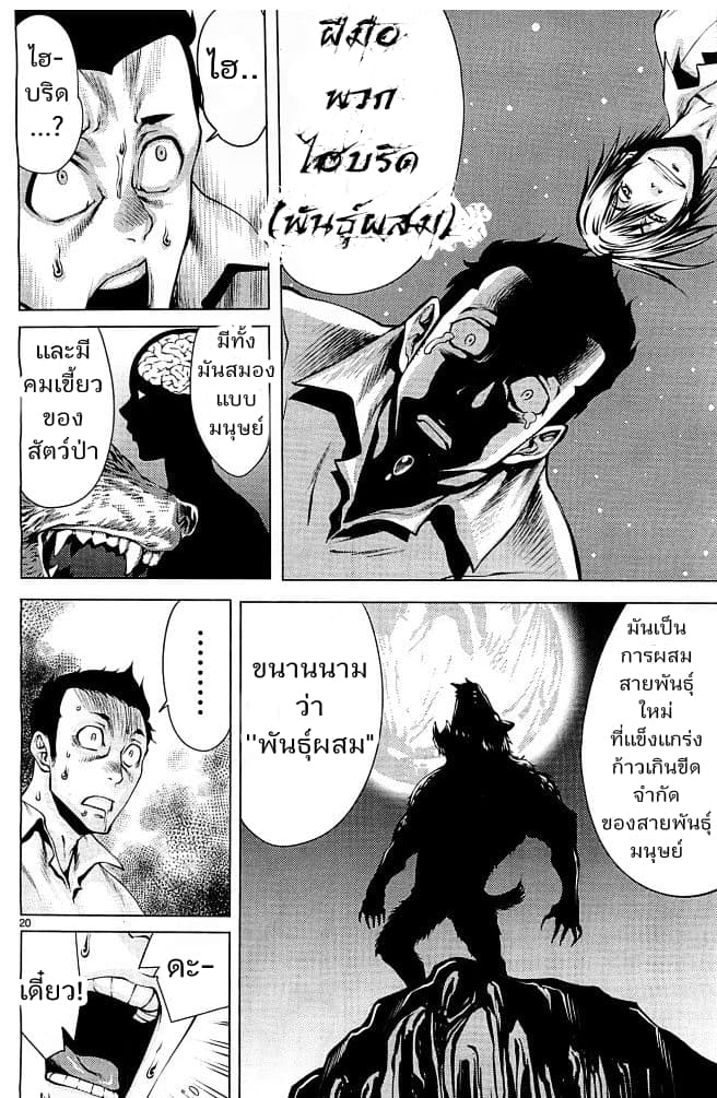 Killing Bites เขี้ยวพิฆาตพันธุ์ผสม 1-1