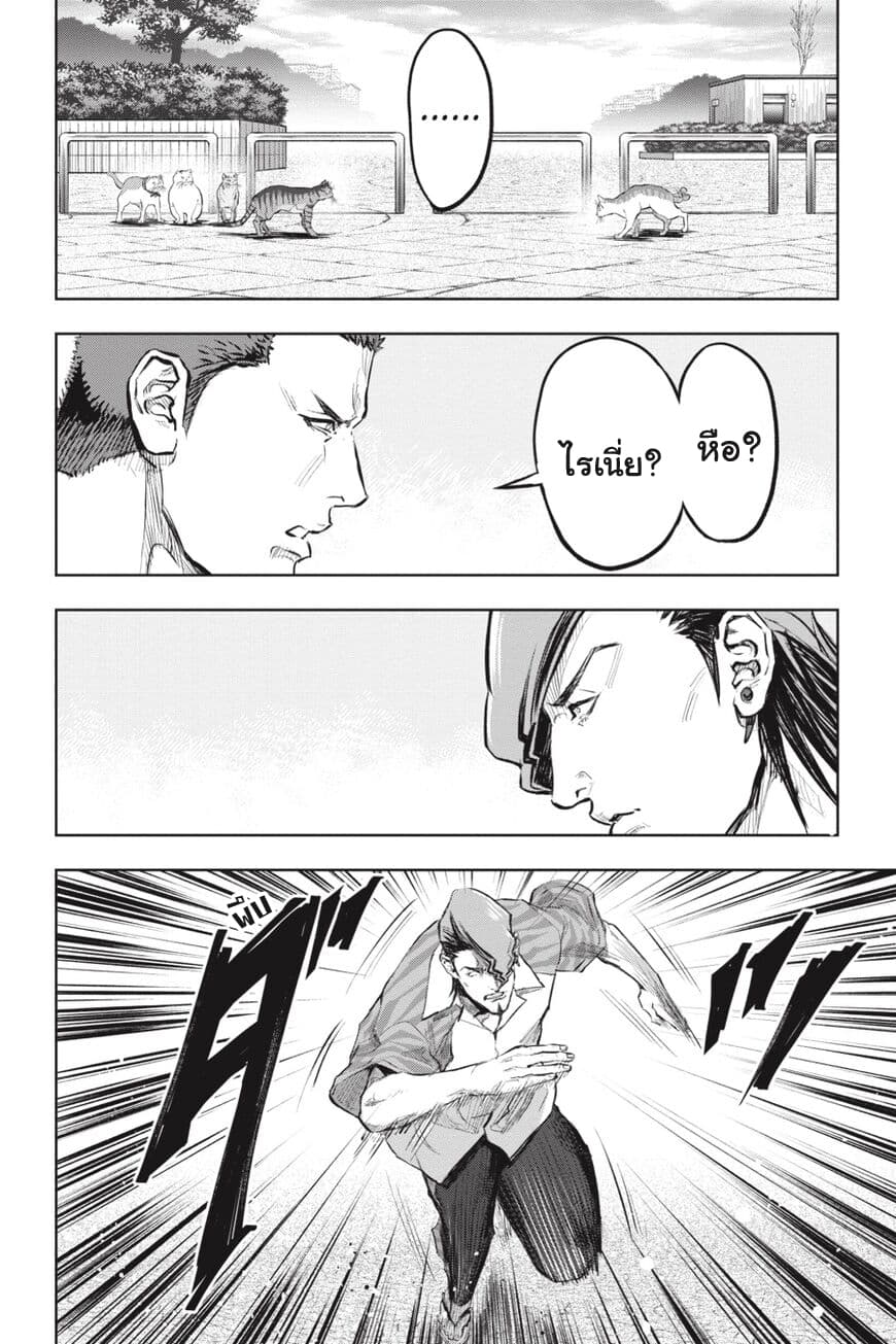 Nyankees 17-อิจฉาแบบแมวๆ