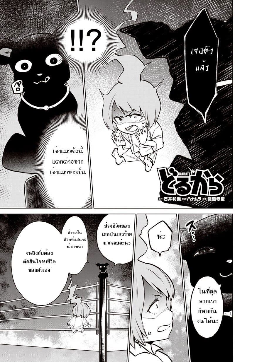 Dolkara 12-สาเหตุที่แท้จริง