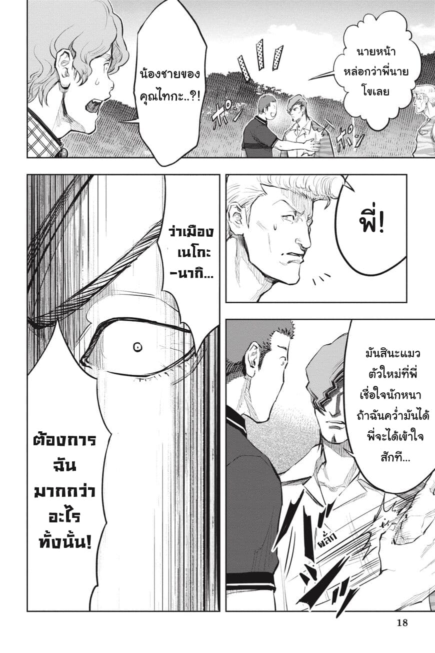 Nyankees 17-อิจฉาแบบแมวๆ